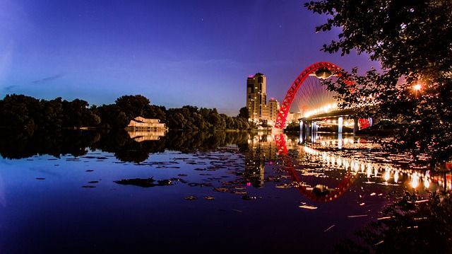 the picturesque bridge 