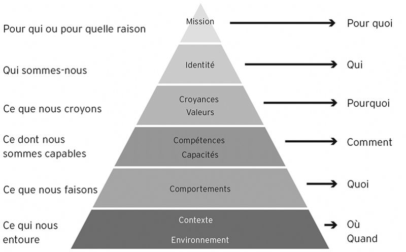 pnl niveauxlogiques