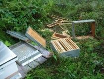 Mes Déboires Apicoles ou la Normalité de l'Échec