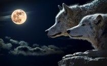 Quand il s'agit de succès facile, la relation ne dure pas longtemps… Quand il s'agit de succès facile, la relation ne dure pas longtemps…