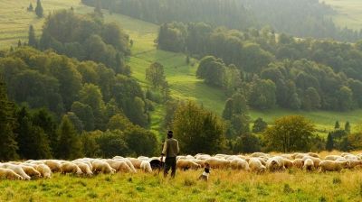 Laissez-nous tranquilles